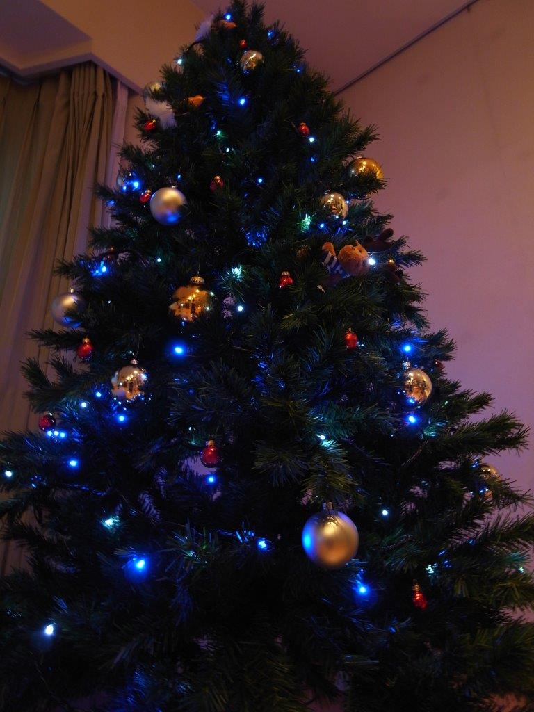 20101121_Christmas tree_R0022627